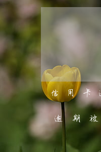 信用卡逾期被銀行起訴后判刑多久-信用卡逾期被銀行起訴后判刑多久執(zhí)行