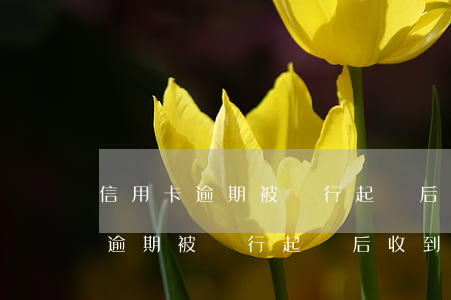 信用卡逾期被銀行起訴后收到傳票-信用卡逾期被銀行起訴后收到傳票怎么辦