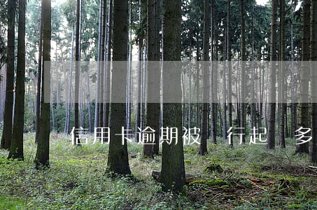 信用卡逾期被銀行起訴多久會判