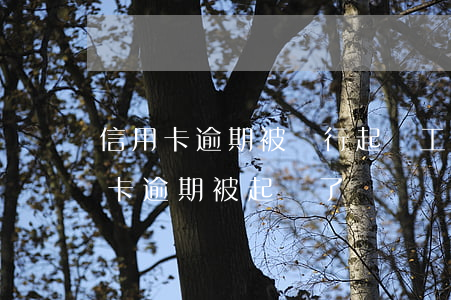 信用卡逾期被銀行起訴工作會沒嗎-欠信用卡逾期被起訴了