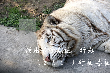信用卡逾期被銀行起訴強(qiáng)制執(zhí)行(被告被采取強(qiáng)制措施信用卡逾期)