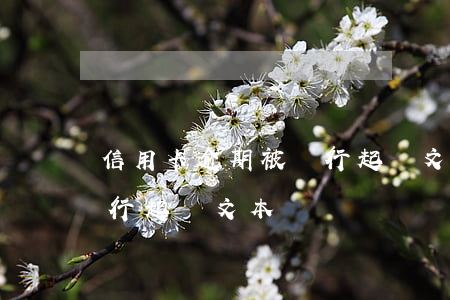 信用卡逾期被銀行起訴文本(信用卡逾期被銀行起訴文本)