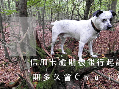 信用卡逾期被銀行起訴是什么罪名(信用卡逾期多久會(huì)被起訴被銀行起訴)