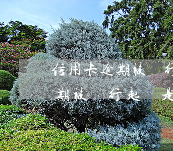 信用卡逾期被銀行起訴是什么罪名(信用卡逾期被銀行起訴是什么罪名)