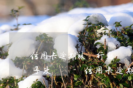 信用卡逾期被銀行起訴會(huì)影響孩子政審嗎-信用卡逾期被銀行起訴會(huì)影響孩子政審嗎知乎