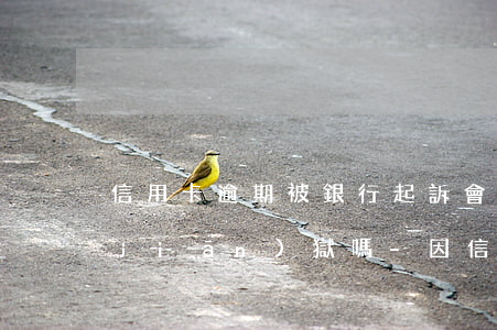 信用卡逾期被銀行起訴會(huì)蹲監(jiān)獄嗎-因信用卡逾期被起訴坐牢的多嗎