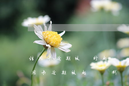 信用卡逾期被銀行起訴會影響孩子嗎(一張信用卡逾期被起訴會影響其他信用卡嗎)