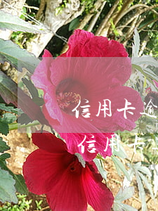 信用卡逾期被銀行起訴流程會通知親屬嗎-信用卡逾期被銀行起訴流程會通知親屬嗎