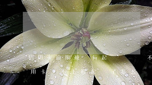 信用卡逾期被銀行起訴,確實還不起(欠銀行信用卡還不上被起訴了怎么辦)