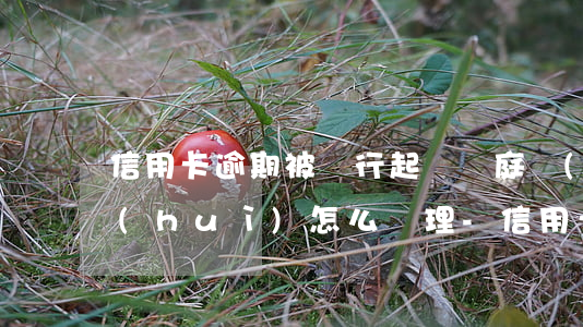 信用卡逾期被銀行起訴開庭時(shí)會(huì)怎么處理-信用卡逾期被銀行起訴開庭時(shí)會(huì)怎么處理呢