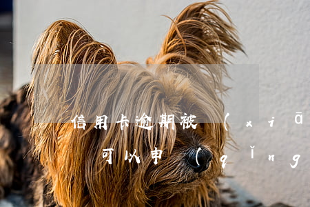 信用卡逾期被銷(xiāo)戶(hù)了還可以申請(qǐng)嗎-信用卡逾期被銷(xiāo)戶(hù)了還可以申請(qǐng)嗎?