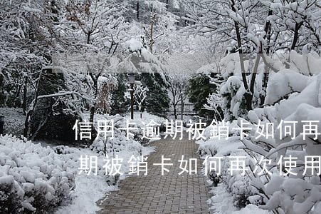 信用卡逾期被銷卡如何再次使用-信用卡逾期被銷卡如何再次使用呢