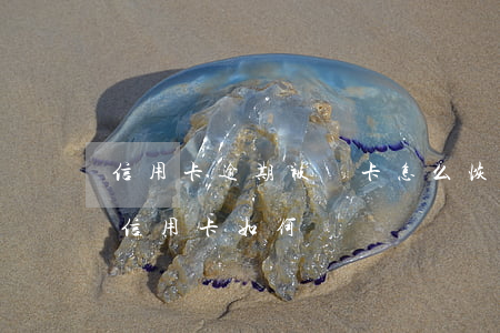 信用卡逾期被銷卡怎么恢復(fù)(過期的信用卡如何銷毀)
