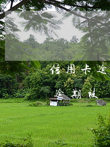 信用卡逾期被銷戶了收的到短信嗎-信用卡逾期被銷戶了收的到短信嗎是真的嗎