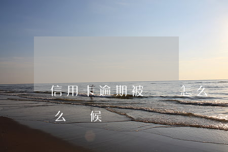 信用卡逾期被銷戶怎么辦 上海這雨要下到什么時候