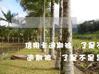 信用卡逾期被鎖了是不是黑名單了-信用卡逾期被鎖了是不是黑名單了呢
