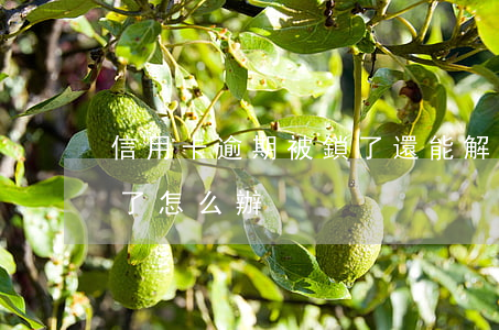 信用卡逾期被鎖了還能解鎖嗎(刷信用卡被鎖了怎么辦)
