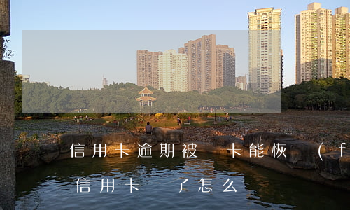 信用卡逾期被鎖卡能恢復(fù)不(銀行把信用卡鎖了怎么辦)