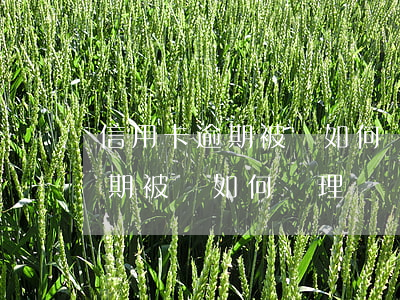 信用卡逾期被鎖如何辦理分期還款（信用卡逾期被鎖如何辦理）