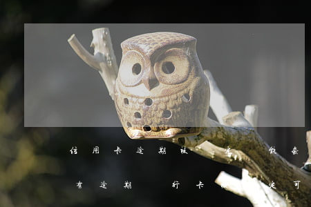 信用卡逾期被鎖定還能套現(xiàn)嗎(有逾期銀行卡被鎖定可以去解鎖嗎?)