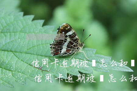信用卡逾期被鎖怎么和銀行協(xié)商(信用卡逾期被鎖怎么和銀行協(xié)商)