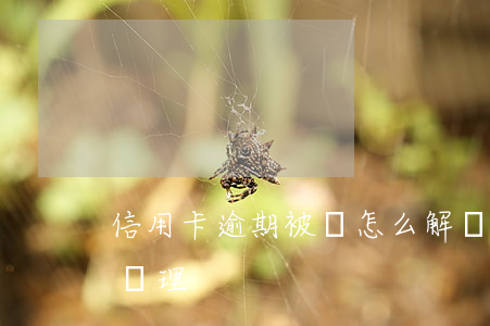 信用卡逾期被鎖怎么解決(信用卡被鎖卡如何處理)