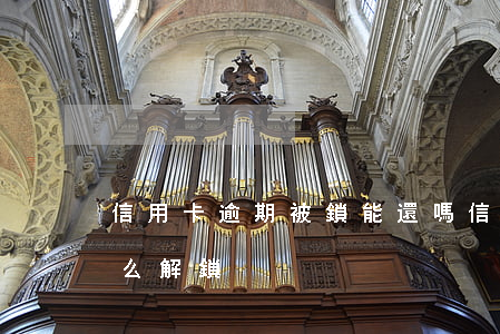 信用卡逾期被鎖能還嗎(信用卡逾期鎖定了怎么解鎖)
