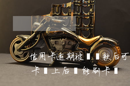 信用卡逾期被鎖還款后可以用嗎(逾期的信用卡還上后還能刷卡嗎)