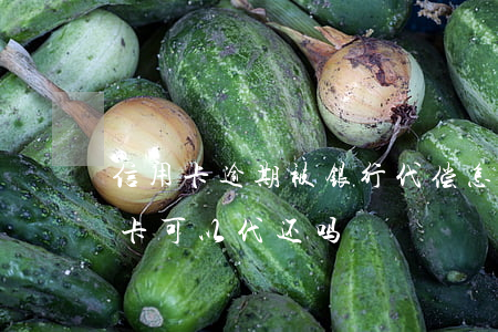 信用卡逾期被银行代偿怎么办-逾期的信用卡可以代还吗