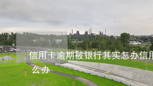 信用卡逾期被银行其实怎办(信用卡 逾期了怎么办)