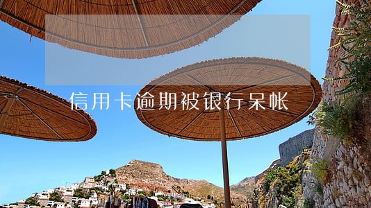 信用卡逾期被银行呆帐