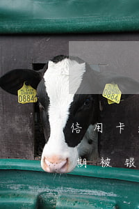 信用卡逾期被银行拉黑多久恢复-信用卡逾期被银行拉黑多久恢复正常