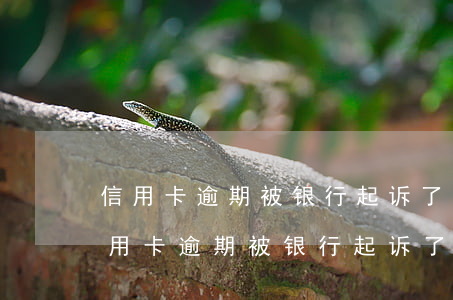 信用卡逾期被银行起诉了怎么办要多久-信用卡逾期被银行起诉了怎么办要多久才能开庭