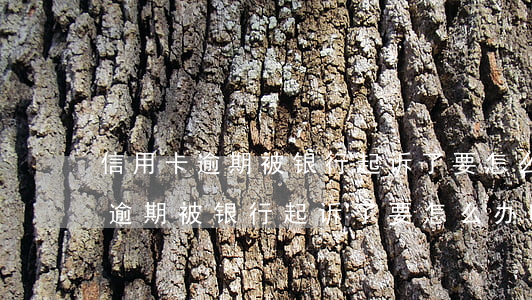 信用卡逾期被银行起诉了要怎么办-信用卡逾期被银行起诉了要怎么办呢