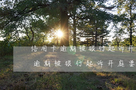 信用卡逾期被银行起诉开庭要钱吗-信用卡逾期被银行起诉开庭要钱吗怎么办