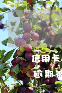 信用卡逾期被银行起诉流程要多久-信用卡逾期被银行起诉流程要多久才能开庭