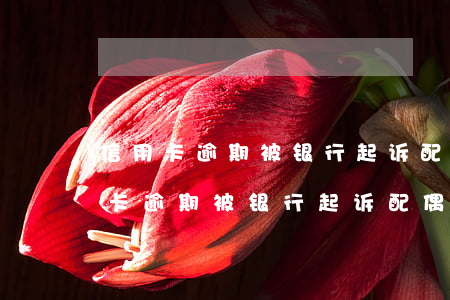 信用卡逾期被银行起诉配偶会被起诉吗(信用卡逾期被银行起诉配偶会被起诉吗)