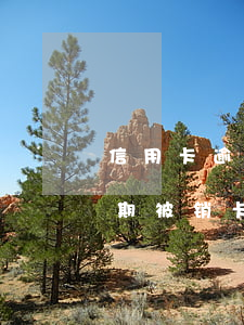 信用卡逾期被销卡要怎样才能再用（信用卡逾期被销卡要怎样才能再）