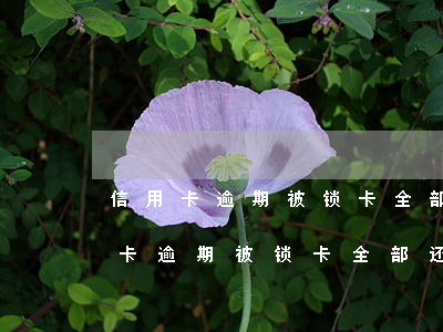 信用卡逾期被锁卡全部还清会开卡吗-信用卡逾期被锁卡全部还清会开卡吗安全吗