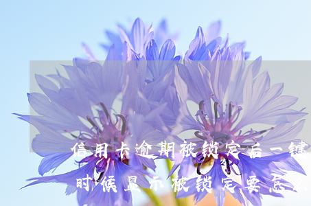 信用卡逾期被锁定后一键锁卡-用信用卡的时候显示被锁定要怎么办