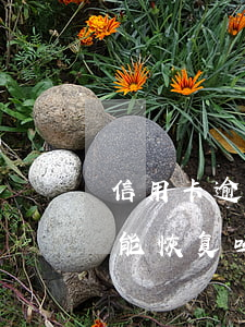 信用卡逾期被锁能否恢复(信用卡锁卡之后还能恢复吗)