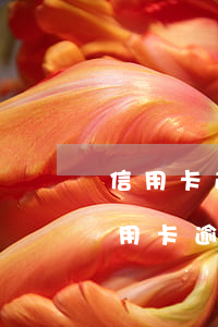 信用卡逾期被關(guān)閉還款通道(信用卡逾期被關(guān)閉還款通道)