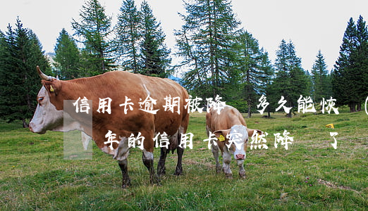 信用卡逾期被降額多久能恢復(fù)(用了幾年的信用卡突然降額了)