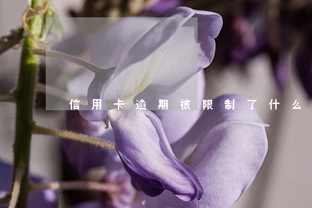 信用卡逾期被限制了(什么叫信用卡嚴重逾期)
