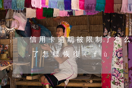 信用卡逾期被限制了怎么辦(信用卡逾期限制了怎樣恢復(fù))