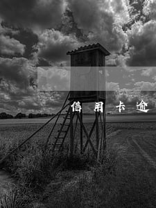 信用卡逾期被限制交易怎么恢復