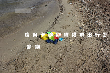 信用卡逾期被限制出行怎么辦(不小心信用卡逾期)
