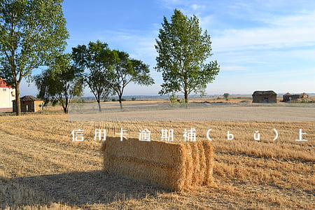 信用卡逾期補(bǔ)上后