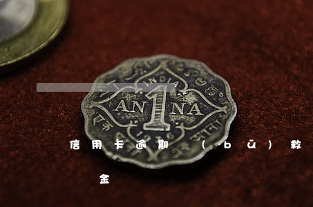信用卡逾期補(bǔ)救方案(信用卡逾期違約金)