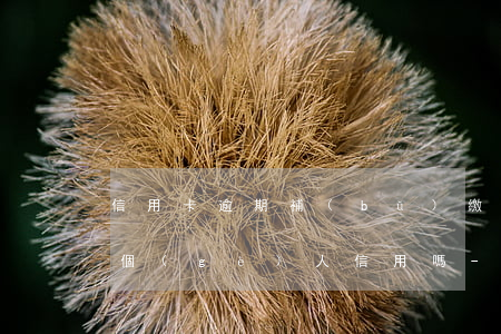 信用卡逾期補(bǔ)繳會(huì)影響個(gè)人信用嗎-信用卡逾期補(bǔ)繳會(huì)影響個(gè)人信用嗎知乎
